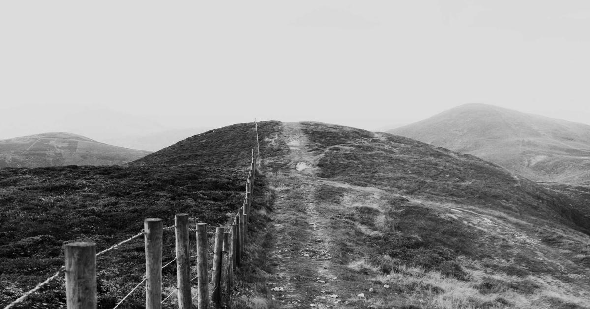 Fotografía ilustrativa para: Exportadores reportan repunte de pedidos y piden acelerar trámites portuarios
