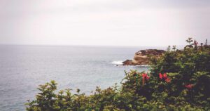 Fotografía ilustrativa para: Tecnológicas locales levantan inversión semilla y priorizan IA para atención al cliente