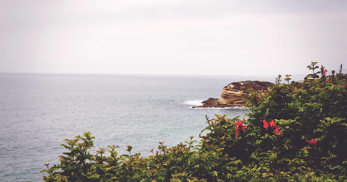 Fotografía ilustrativa para: Tecnológicas locales levantan inversión semilla y priorizan IA para atención al cliente