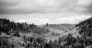 Fotografía ilustrativa para: Premios de la música: nominaciones impulsan a nuevos talentos y colaboraciones