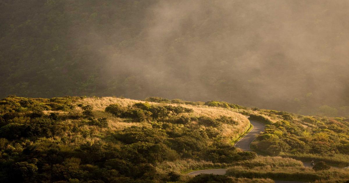 Fotografía ilustrativa para: Cine: película independiente sorprende en taquilla por boca a boca